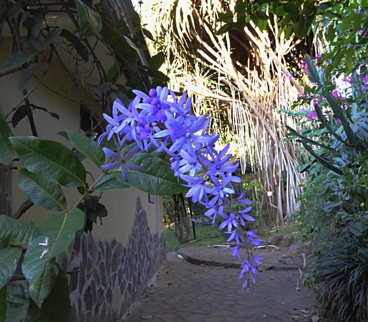 Pura Vida Hotel Alajuela Zewnętrze zdjęcie