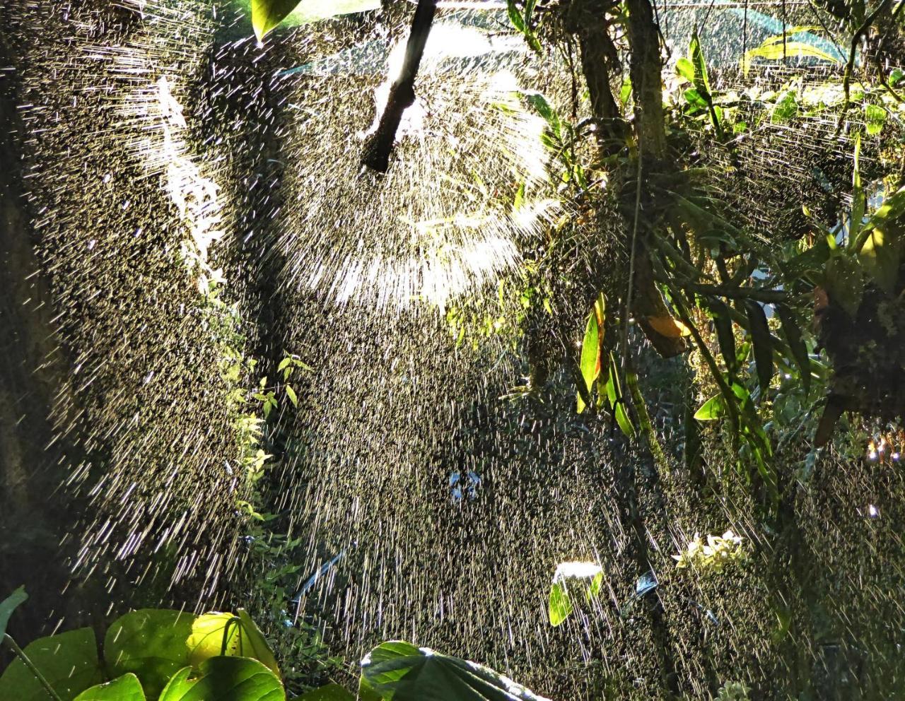 Pura Vida Hotel Alajuela Zewnętrze zdjęcie