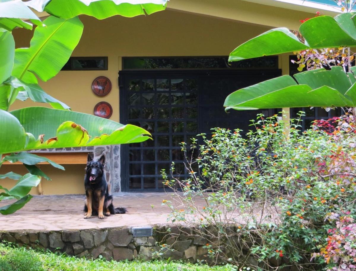 Pura Vida Hotel Alajuela Zewnętrze zdjęcie